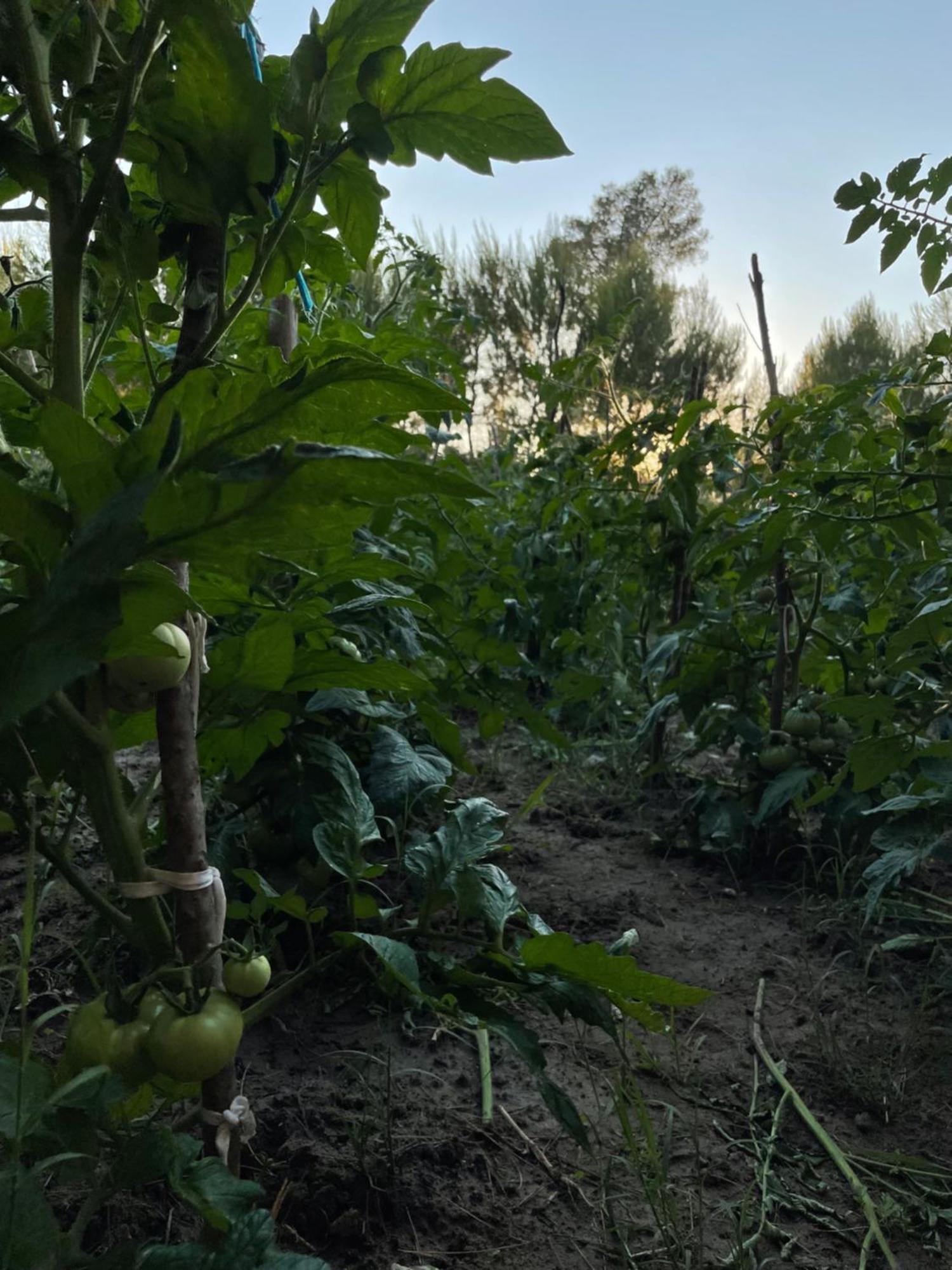Готель Agroturizem Eldi Фієр Екстер'єр фото